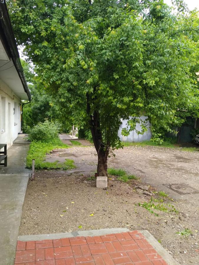 Garsoniera In Centru Appartamento